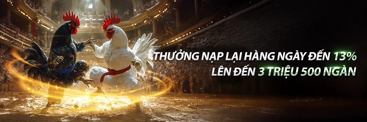 Đá Gà Jun88 – Trải Nghiệm Cá Cược Đỉnh Cao